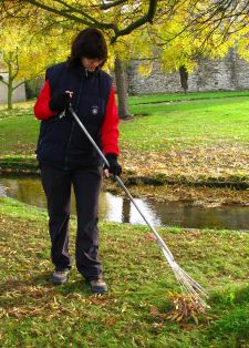 Alongsider Raking Leaves