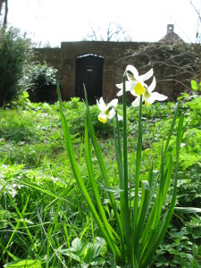 Entrance to St Michael's Cottage, hidden away in the copse behind the Church
