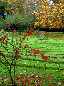 Labyrinth in autumn