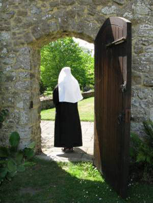 Novice in the garden