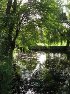 Nun's pond in summer