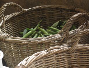 Pea Pods