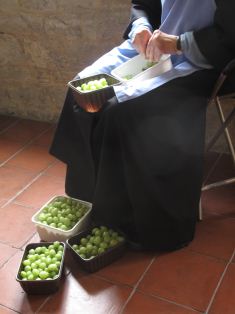 Preparing Gooseberries