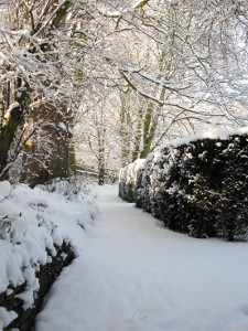 Nun's garden path in the snow